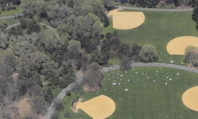 central park the great lawn: central park the great lawn